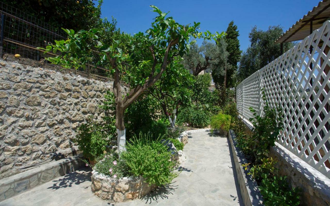 Thalassa Studios Paleokastritsa Buitenkant foto